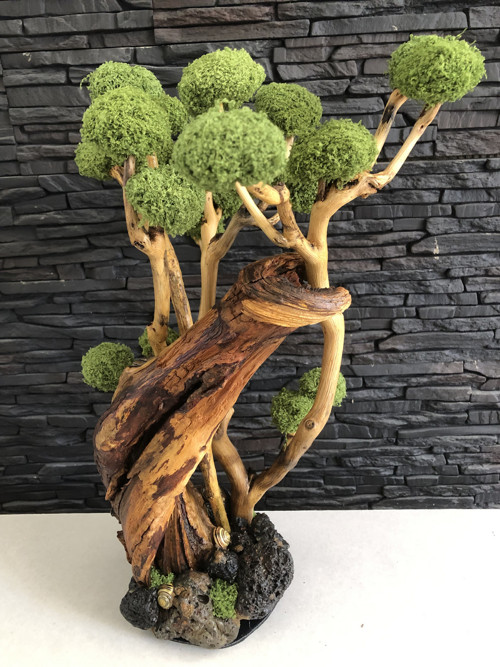 Mechová Dekorace-Samorost-Bonsai-Přírodní Dárek