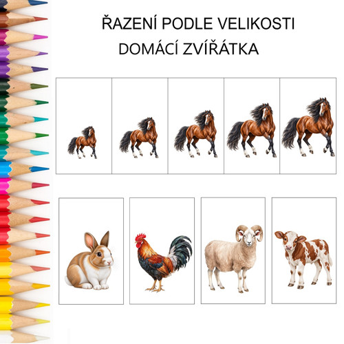 Řazení podle velikosti DOMÁCÍ ZVÍŘATA 2 v PDF