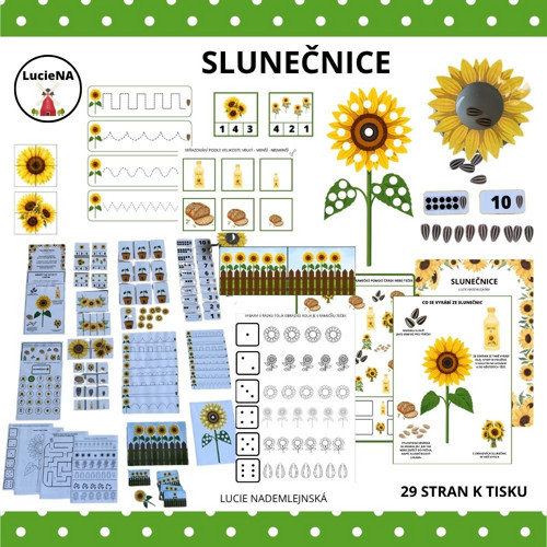 Slunečnice — foto 1
