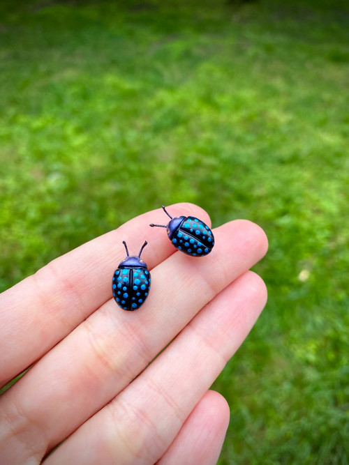 Beetles