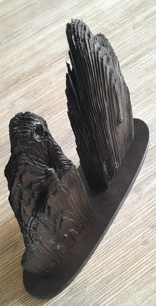 Lignum Montes