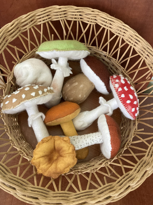 Houby na přání — foto 1