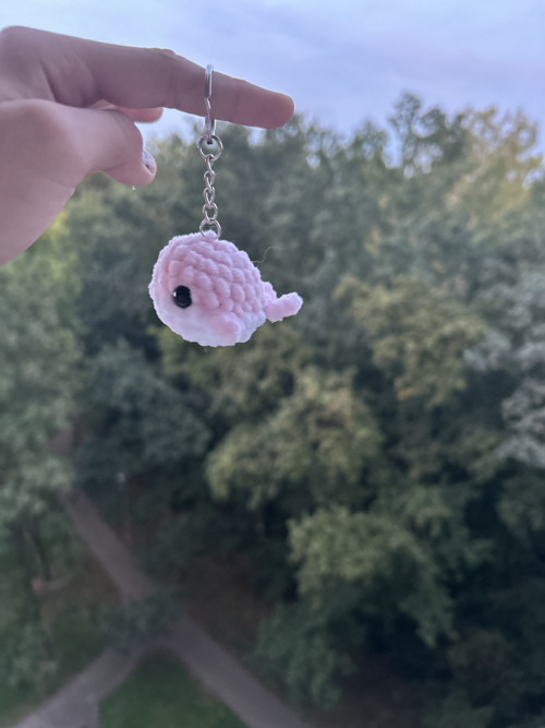 Klíčenka velrybky