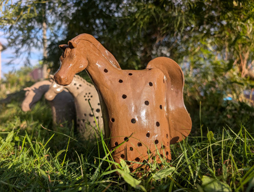 Kůň s duší