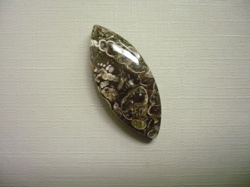 Kabošon - turitella 32 mm, č.66