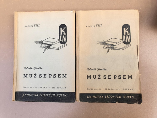 Muž se psem — foto 1