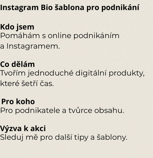 Instagram Bio šablona pro podnikání