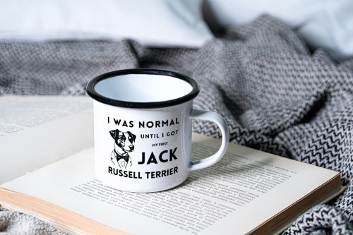 I was normal until... (Jack) - Plecháček