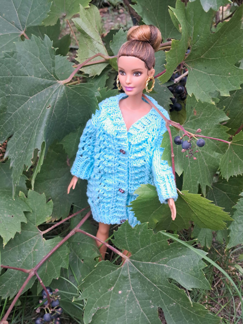 Kabátek pro Barbie, Barbie baculku apod.