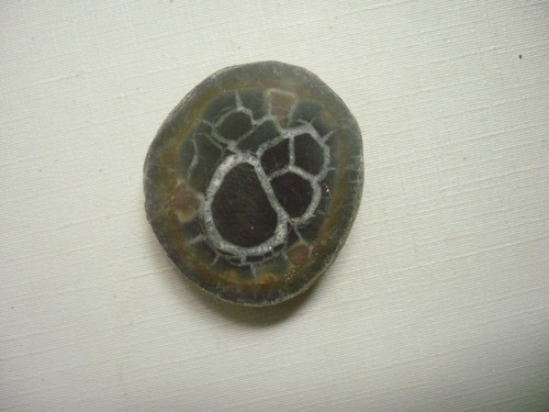Septárie 32 mm, č.58f