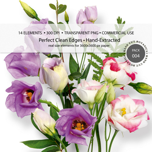 004 | Eustoma, zelené listy a větvičky — foto 1