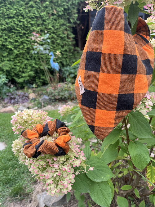 Šátek pro psy + scrunchie - Pumpkin spice - S