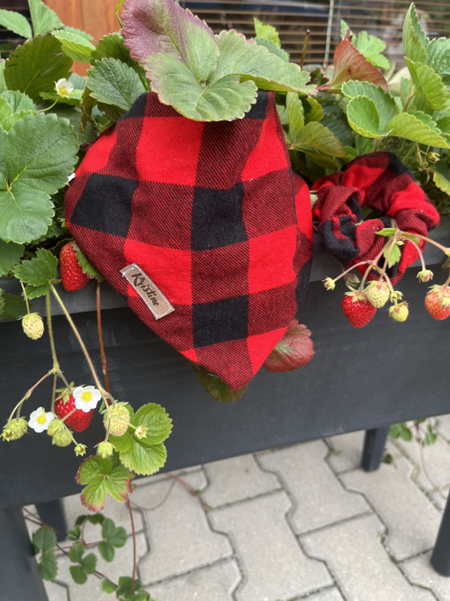 Šátek pro psy + scrunchie - Cozy Warm - L