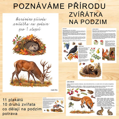 Poznáváme Přírodu - Zvířátka Na Podzim v Pdf