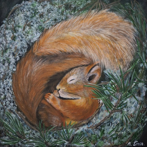 Veverka, obraz, plátno akryl 40x40, v rezervaci