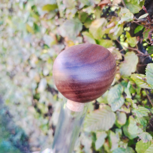 Špunt z amerického ořechu