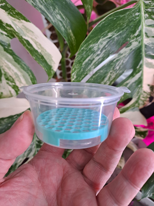 Krabička s mřížkou - mint (průměr 7cm) — foto 1