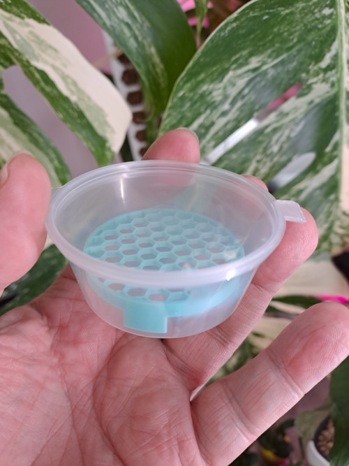 Krabička s mřížkou - mint (průměr 6cm)