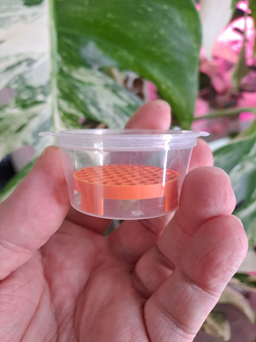 Krabička s mřížkou - oranž (průměr 4,8cm)