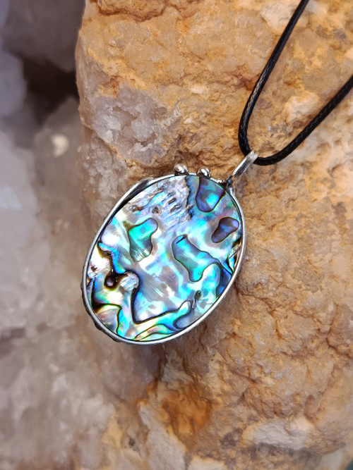 Abalone paua mušle