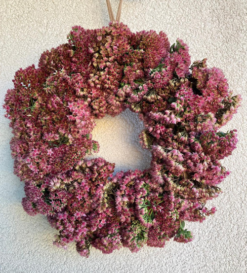 Přírodní věnec z rozchodníku • průměr 30 cm