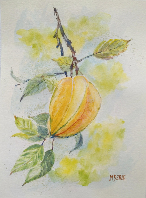 Karambola