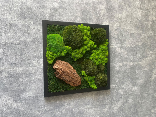 Mechový obraz 35x35cm