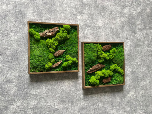 Mechový obraz - sada 25x25cm