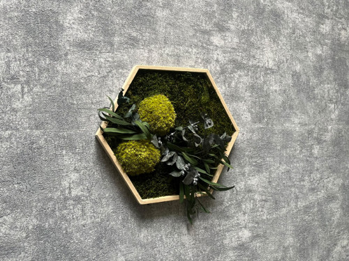 Mechový obraz - hexagon 26x26cm