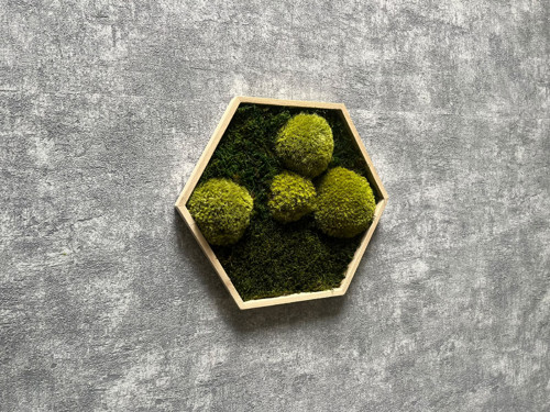 Mechový obraz - hexagon 26x26cm