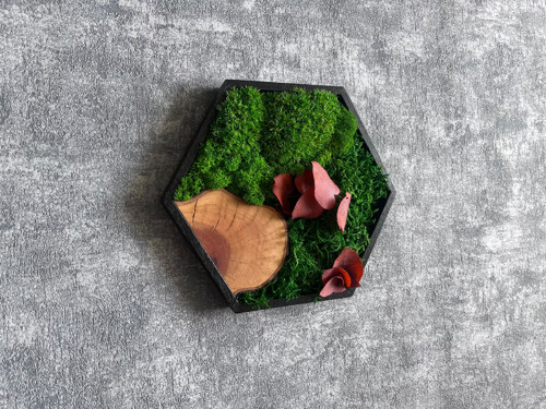 Mechový obraz - hexagon 21x21cm