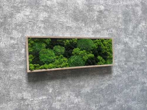 Mechový obraz 40x14cm