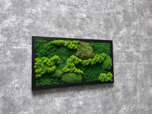 Mechový obraz 45x25cm — foto 1
