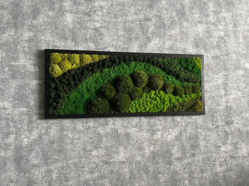 Mechový obraz 75x30cm