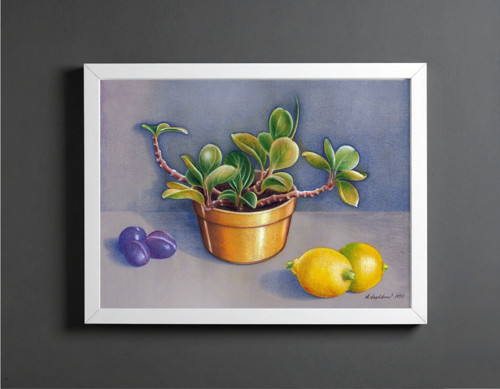 Zátiší s citróny A3 - pastel -autorská reprodukce