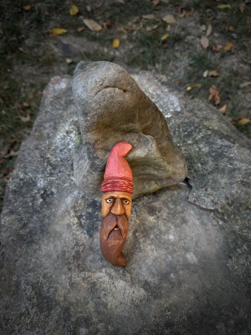 Zášupšáci | červenočepičák
