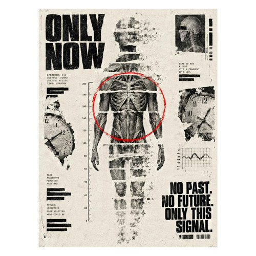 Plakát A3 ONLY NOW / AP-001