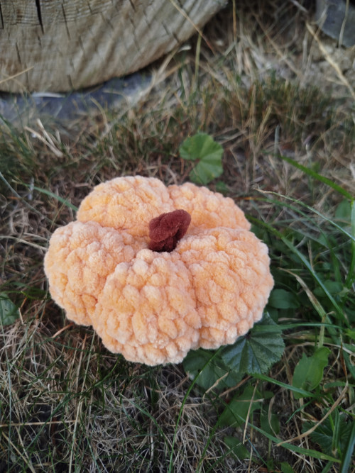 Dýně