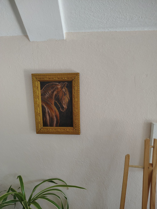 Koňská "Mona Lisa"