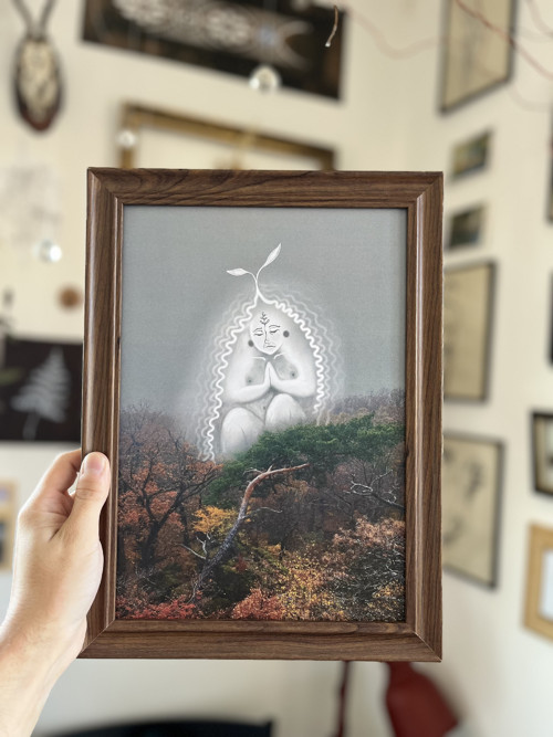 Tisk autorské ilustrace Mokoša v rámečku