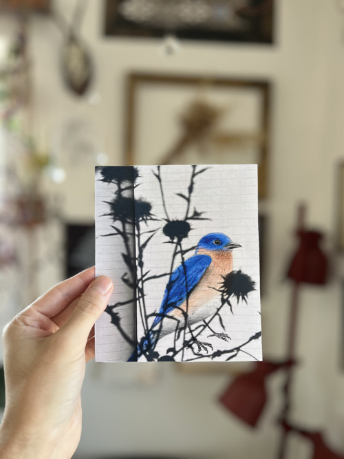 Tisk autorské ilustrace Salašník v bodláčí