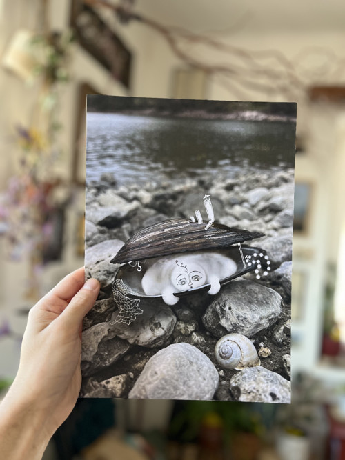 Tisk autorské ilustrace Škeblík
