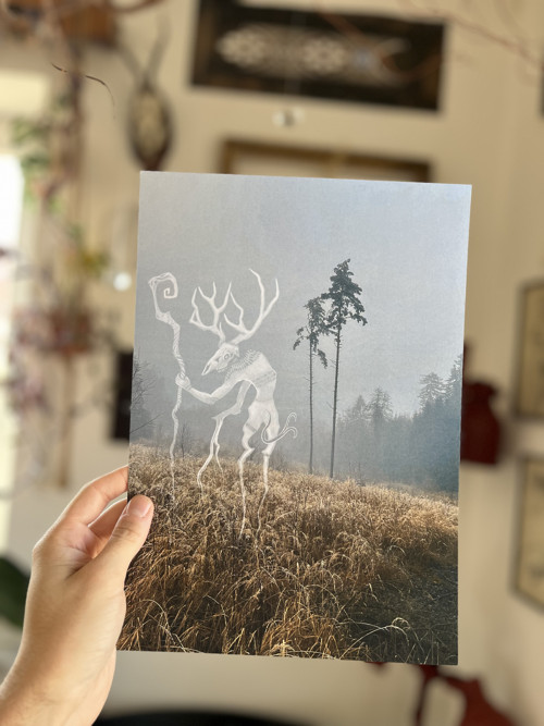 Tisk autorské ilustrace Lešij