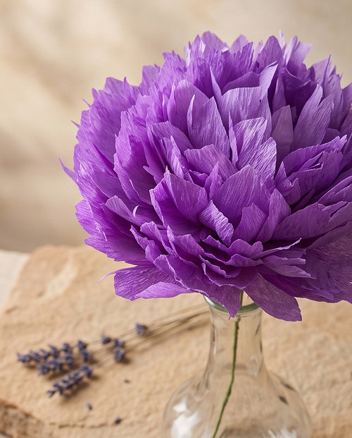 Květina z papíru - Pivoňka fialová (Peonia)