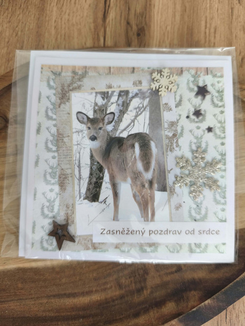 Vánoční přáníčko - zasněžený pozdrav