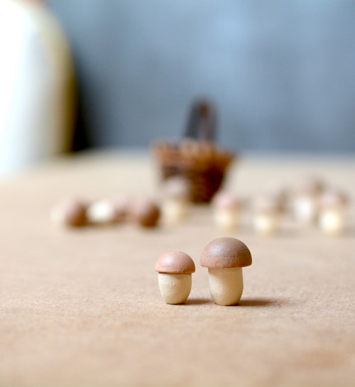 Miniatura/Hříbek