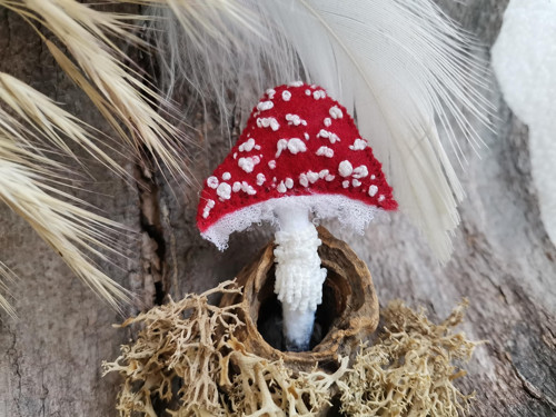 Muchomůrka červená
