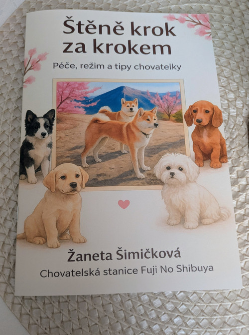 Štěně krok za krokem – praktická příručka PDF