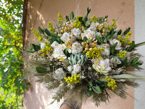 Kytka romantik dozelenkava