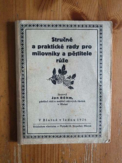Růže